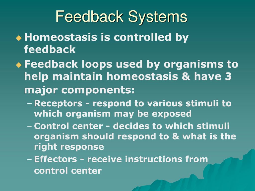 Homeostasis and the Organization of the Animal Body - ppt download