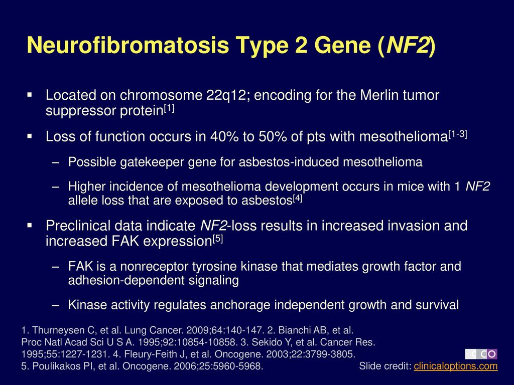 Crizotinib, BKM120 and GDC-0980 alone or in combination inhibit the - Download Scientific Diagram