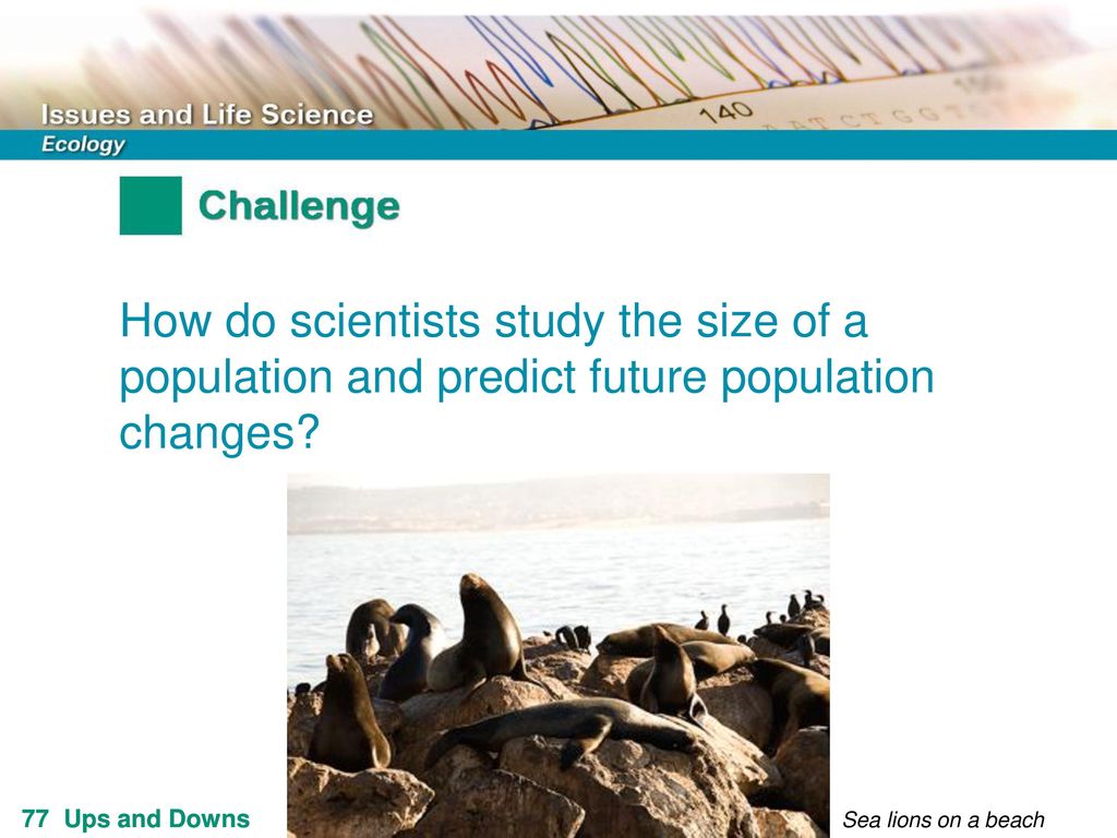 How do scientists study the size of a population and predict future population changes