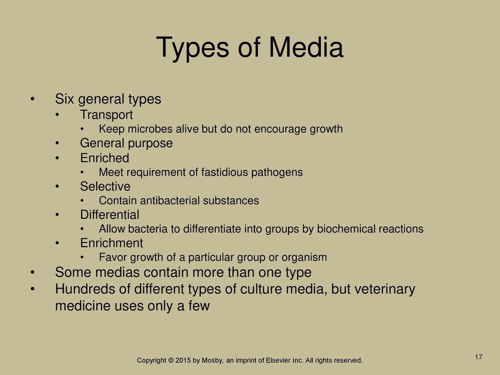 Microbiology Culture Media Chart