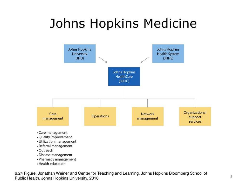 Johns Hopkins Medicine Org Chart