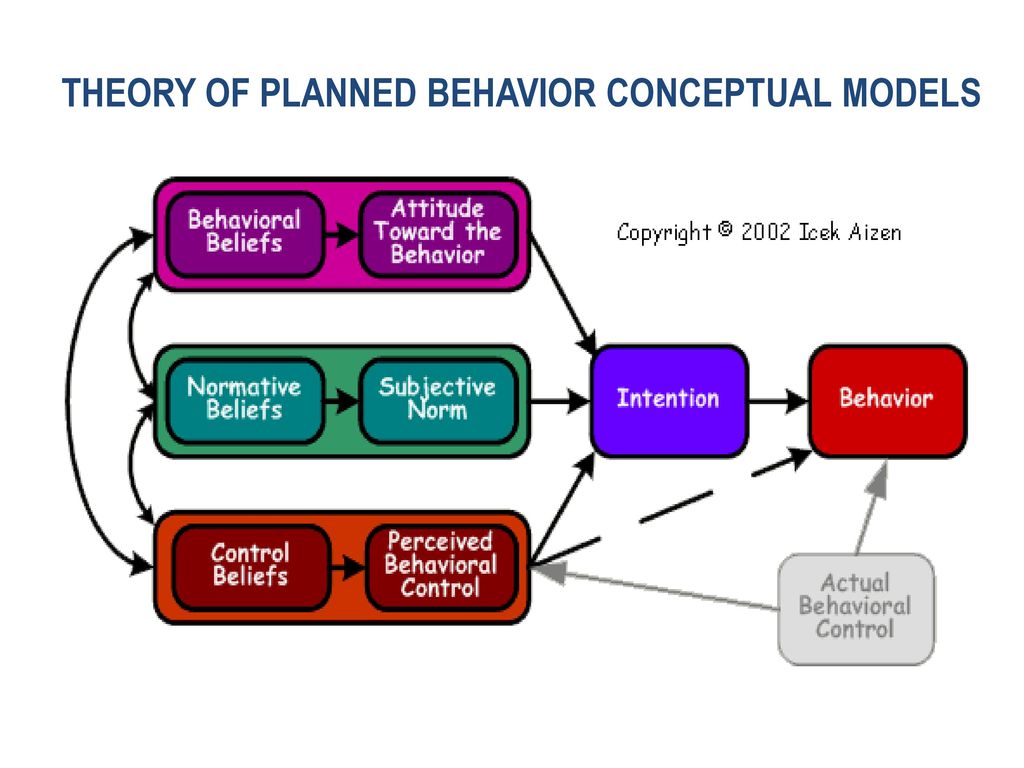 THEORY OF PLANNED BEHAVIOR CONCEPTUAL MODELS
