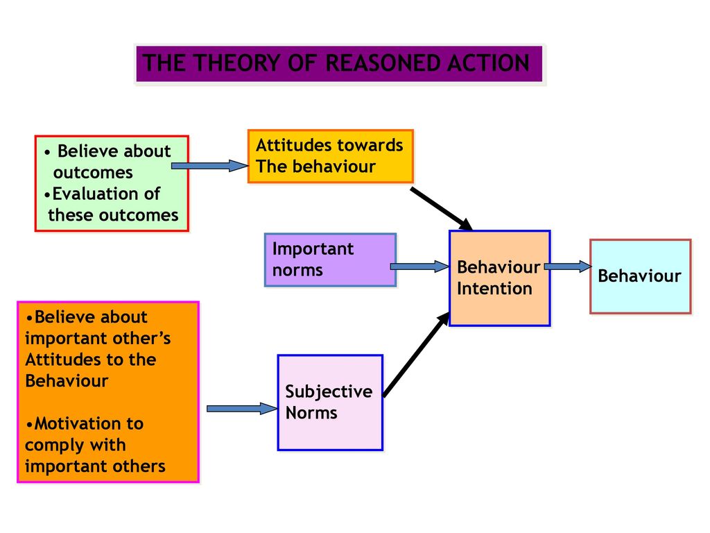 THE THEORY OF REASONED ACTION