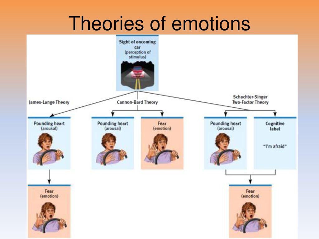 Unit 8B: Motivation And Emotion: Emotions, Stress And Health - Ppt Download