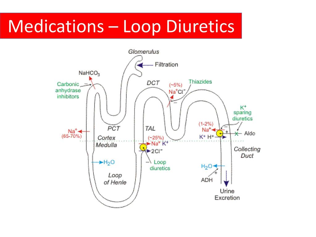 Medications – Loop Diuretics