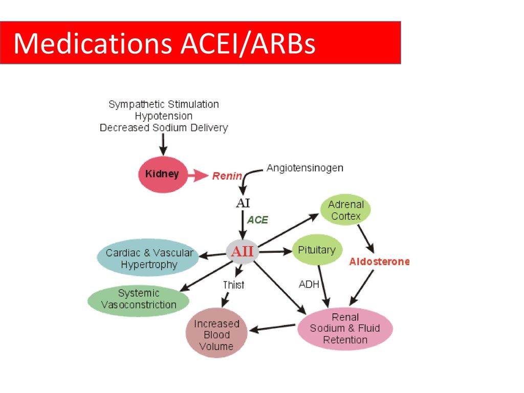 Medications ACEI/ARBs