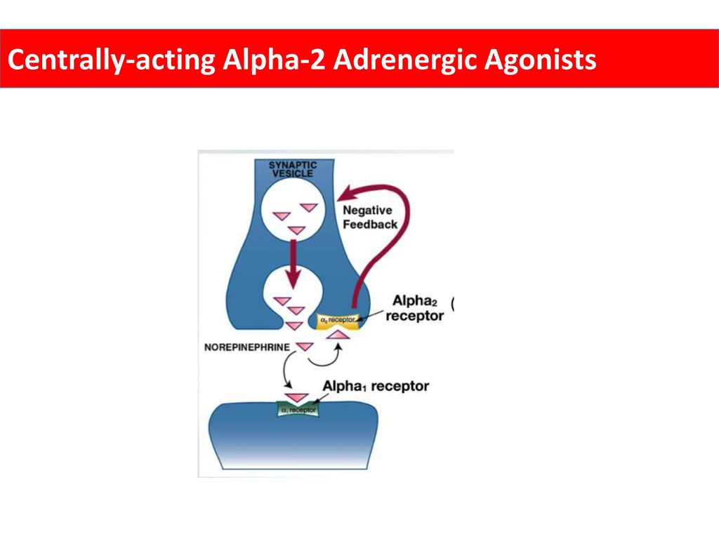 Centrally-acting Alpha-2 Adrenergic Agonists