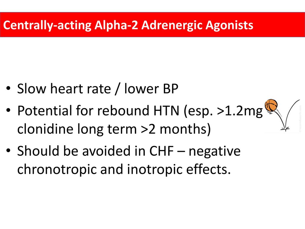 Slow heart rate / lower BP