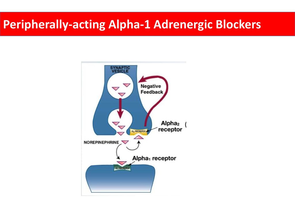 Peripherally-acting Alpha-1 Adrenergic Blockers