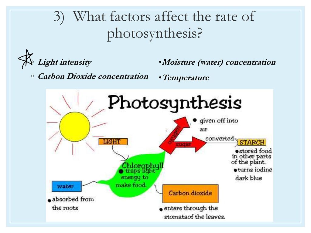 3 factors that affect the rate of photosynthesis