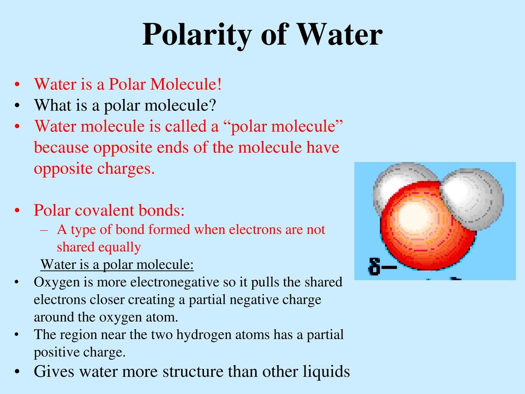 Properties of Water Polar molecule Cohesion and adhesion - ppt video online  download