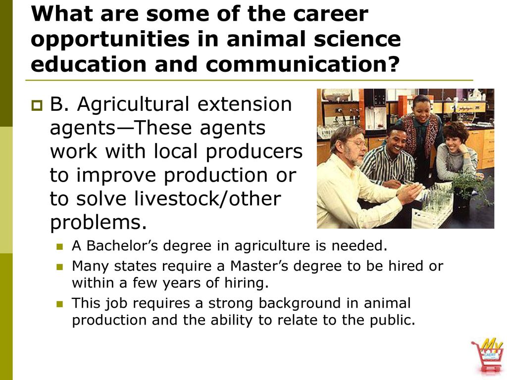 Career Opportunities in the Animal Science Industry - ppt download