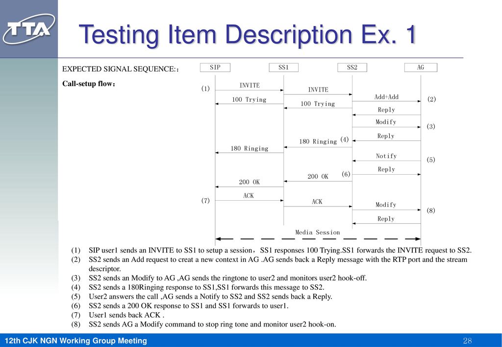 Testing Item Description Ex. 1