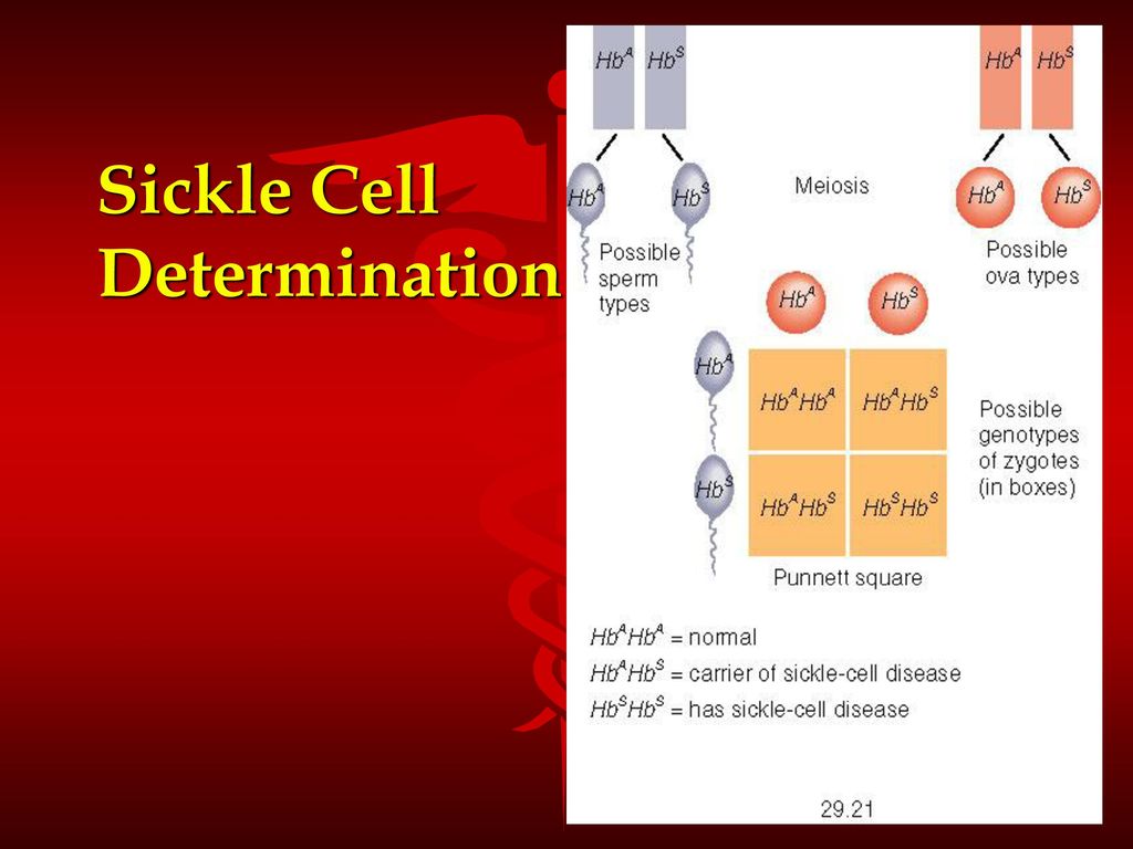 Sickle Cell Determination
