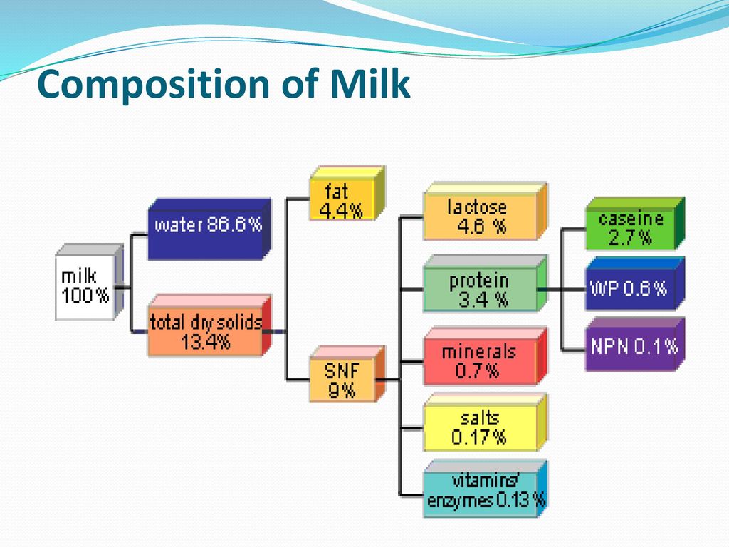 d calcium does absorb vitamin how of Physiology Lactation Pregnancy,Parturition,and ppt d calcium does absorb vitamin how of Physiology Lactation Pregnancy,Parturition,and ppt