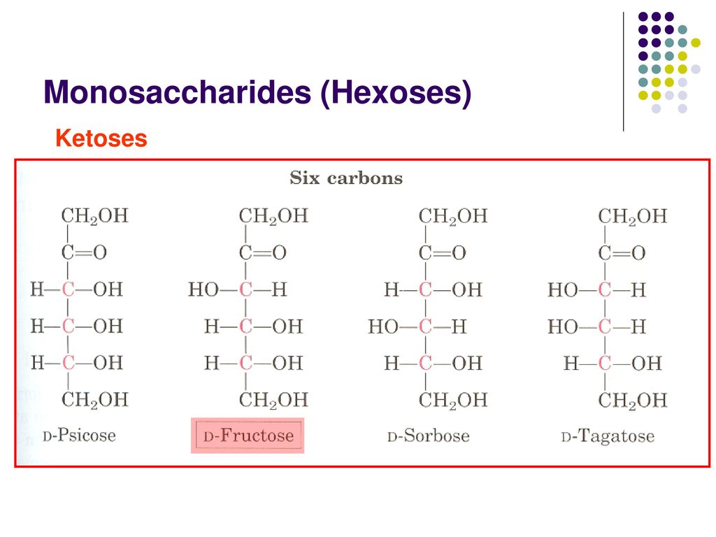 Monosaccharides (Hexoses)