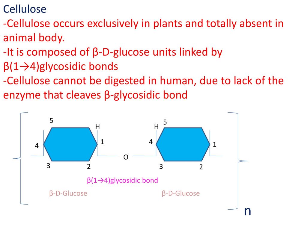 Cellulose -Cellulose occurs exclusively in plants and totally absent in animal body.