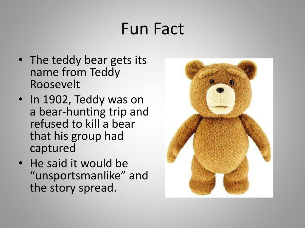 facts about teddy bears