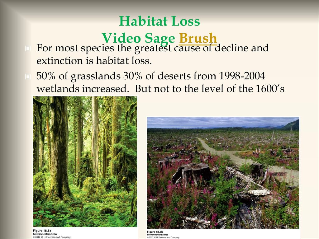 Loss of Biodiversity презентация. Habitat loss. Causes of Biodiversity decline..