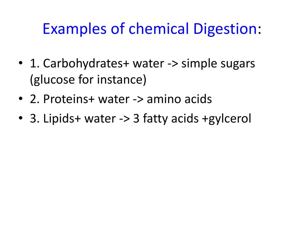 Examples of chemical Digestion: