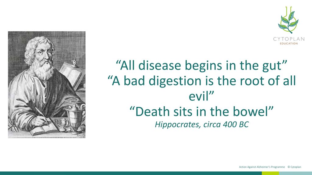 Optimise Your Gut Health Ppt Download