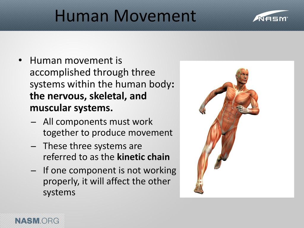 Human Movement airnel-abarra-pinoy-scientist