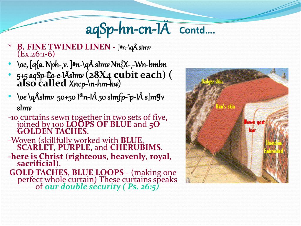Pdw Aq Sn Ia Coverings Ex 26 Ppt Download