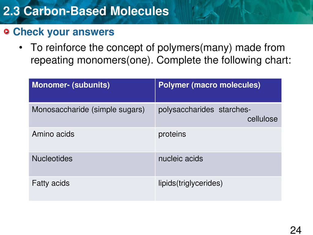 Monomer And Polymer Chart