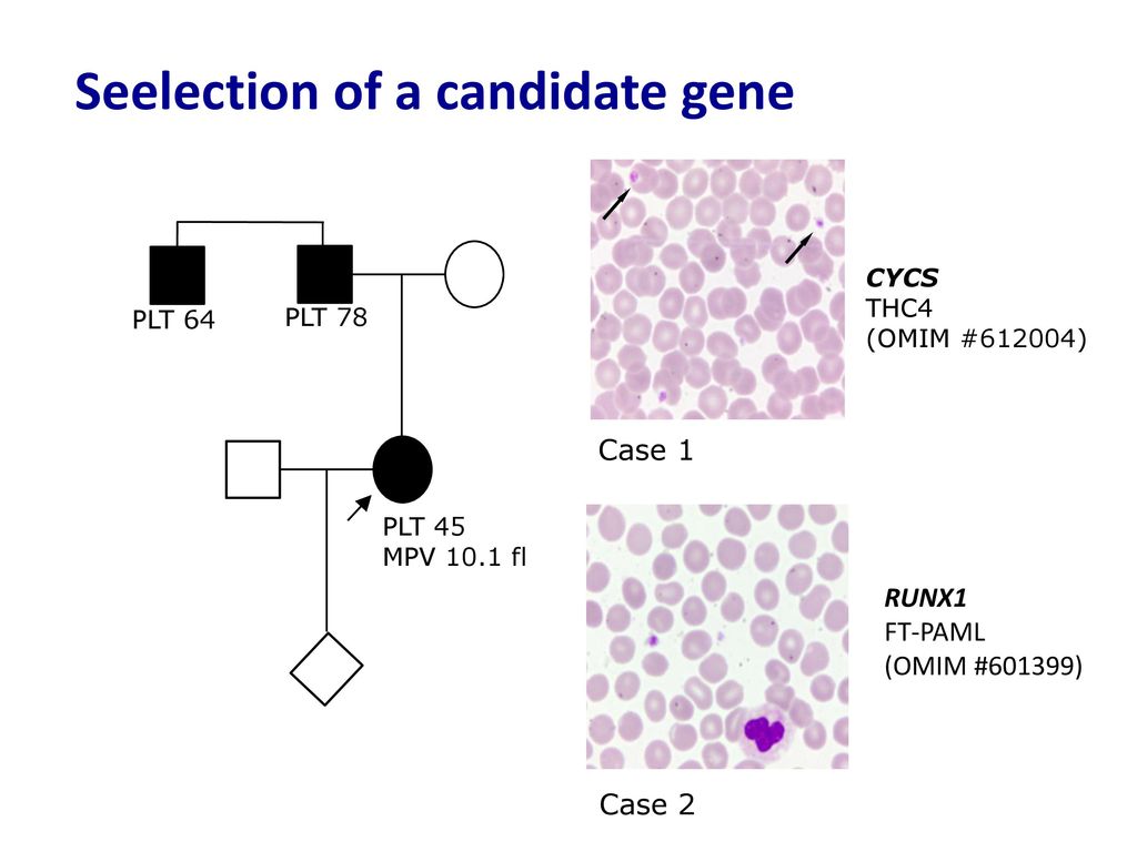 Seelection of a candidate gene