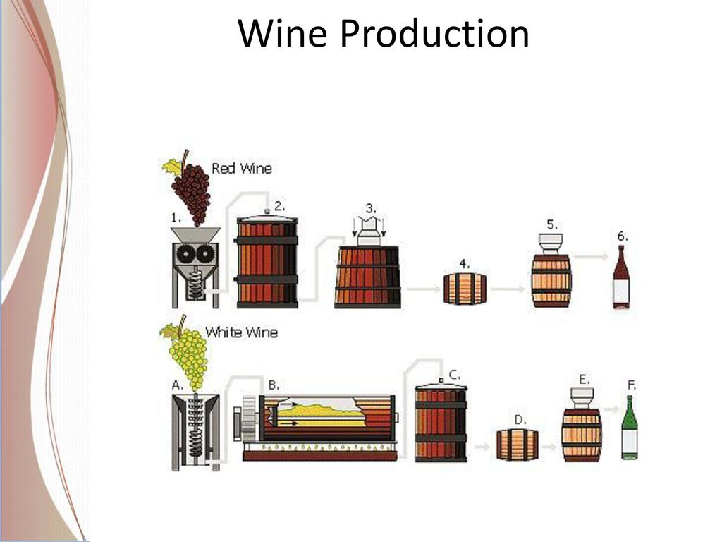 Схема производства вина. Схема производства вина красное и белое. Стадии производства вина схема. Технология производства вина. Вино схема производства.