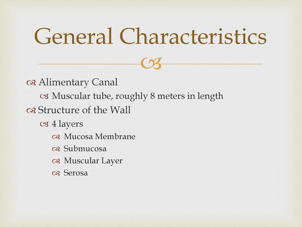 General Characteristics