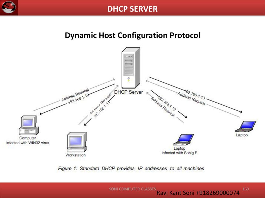 Статический ip сервера. DHCP сервер. DHCP протокол конфигурация. Сервер Dynamic Server. DHCP картинка.