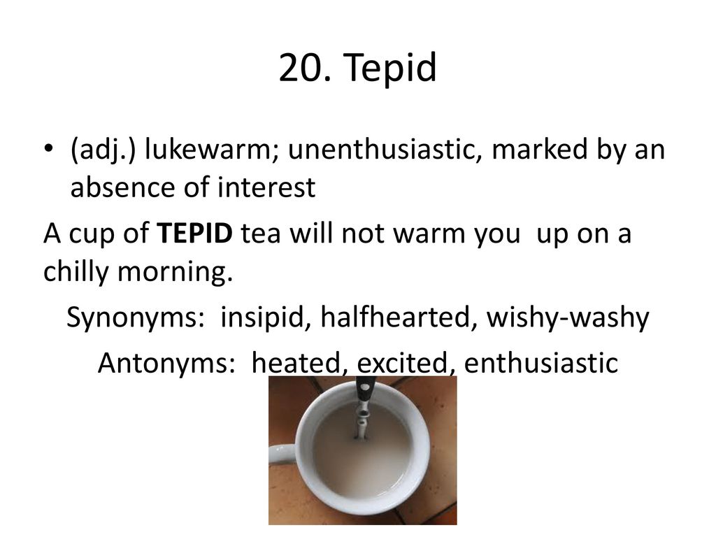 Level E Unit 2 Vocabulary Words. ppt download