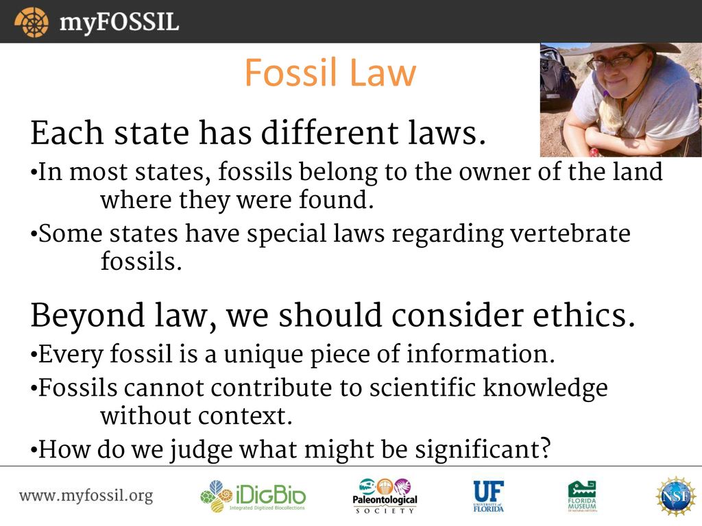 “Excavating Fossils” This webinar will begin at 705 pm Eastern time