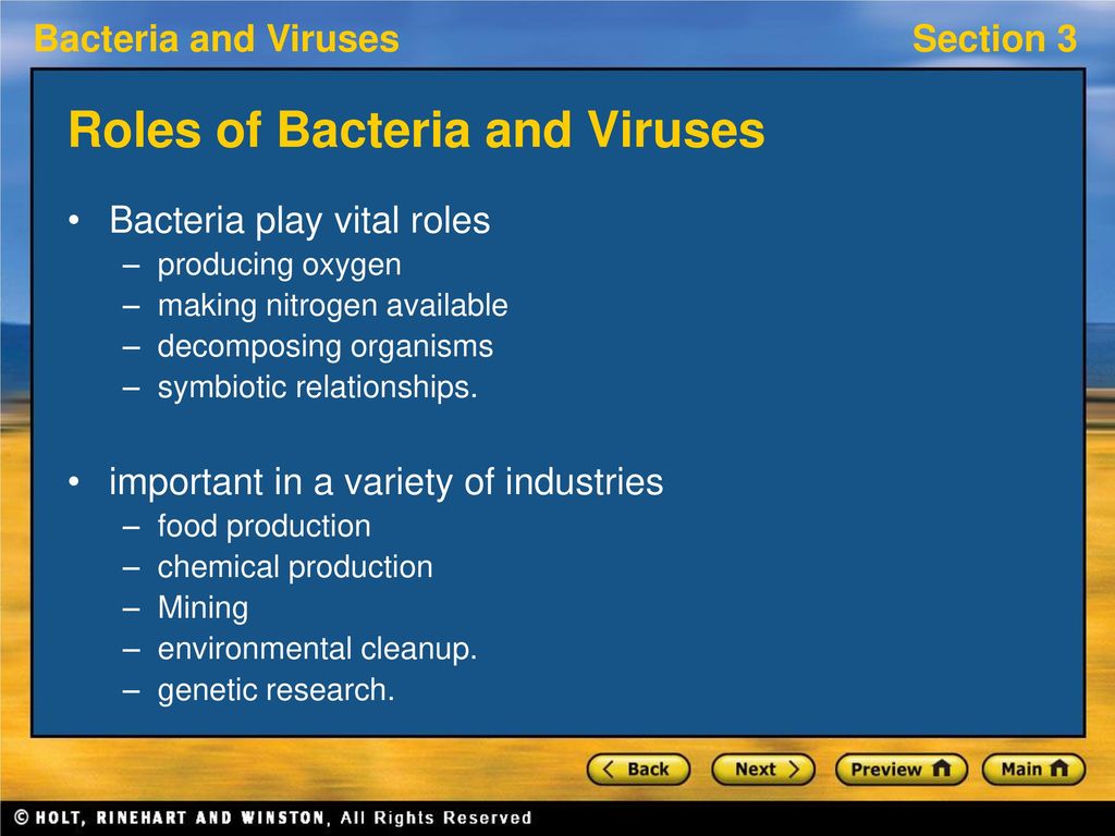 Section 3 Bacteria Viruses And Humans Ppt Download