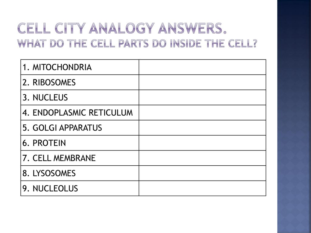 How many bacteria can fit in a cm? Can you see cells? - ppt download With Regard To Cell City Analogy Worksheet Answers