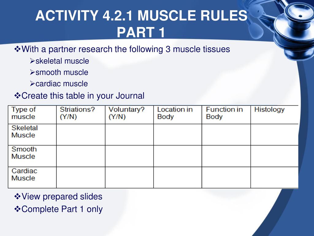 4 2 1 Muscle Rules Chart