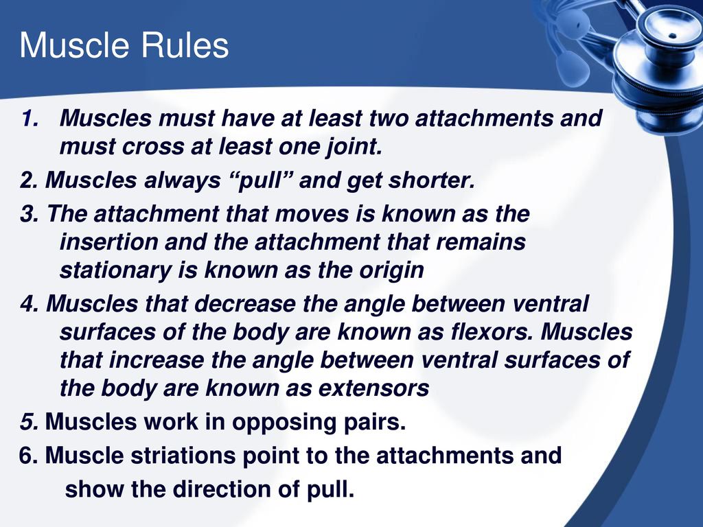 4 2 1 Muscle Rules Chart