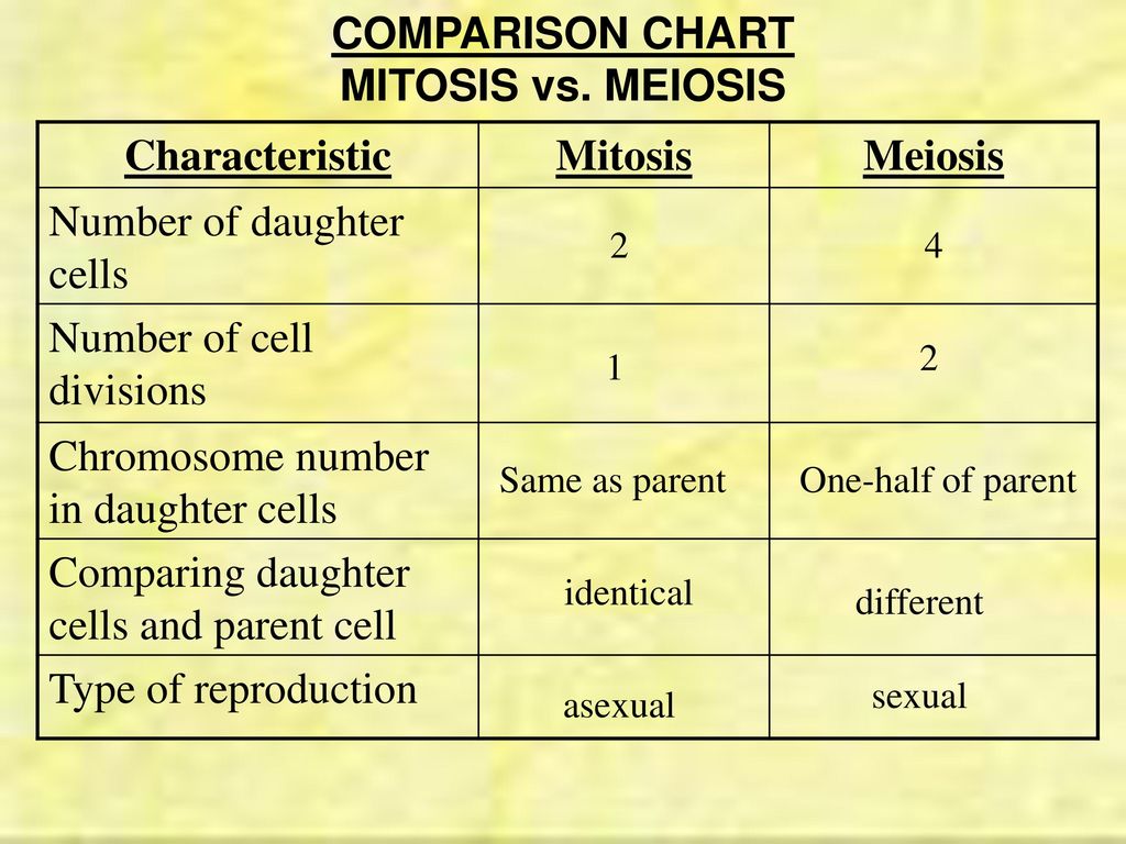 Mitosis Meiosis Comparison Chart