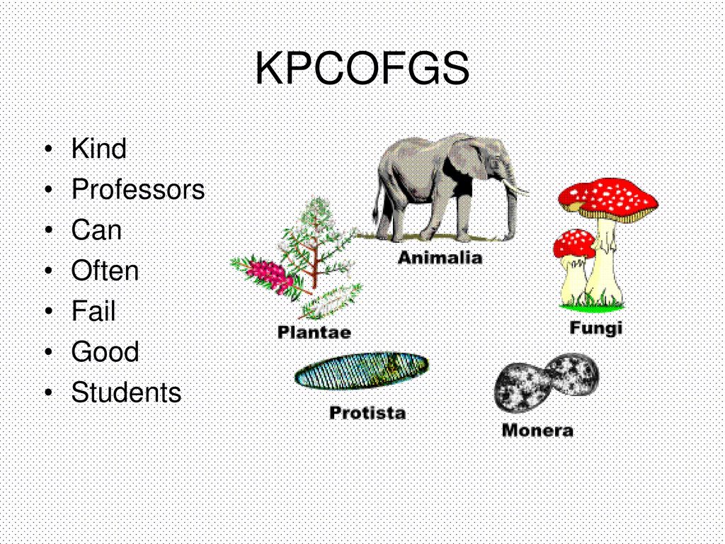 KPCOFGS Kind Professors Can Often Fail Good Students