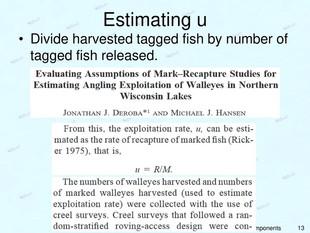 Estimating u Divide harvested tagged fish by number of tagged fish released. Mortality Components