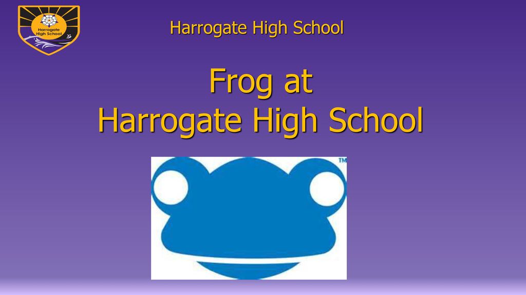 Frog at Harrogate High School
