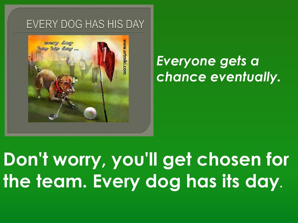 Idioms With Animals Explaining Situation Ppt Download