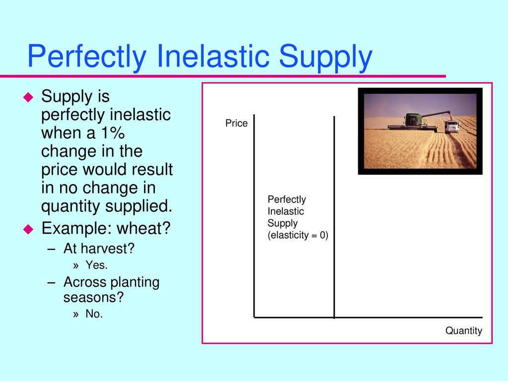 Perfectly Inelastic Supply