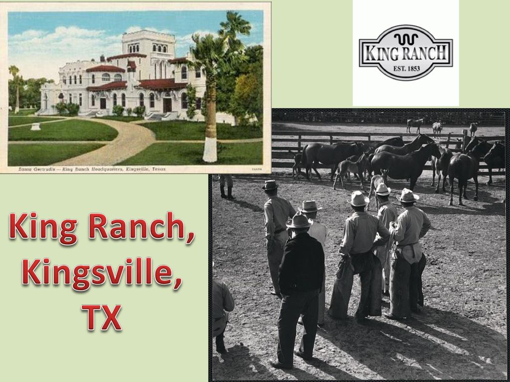 King Ranch, Kingsville, TX
