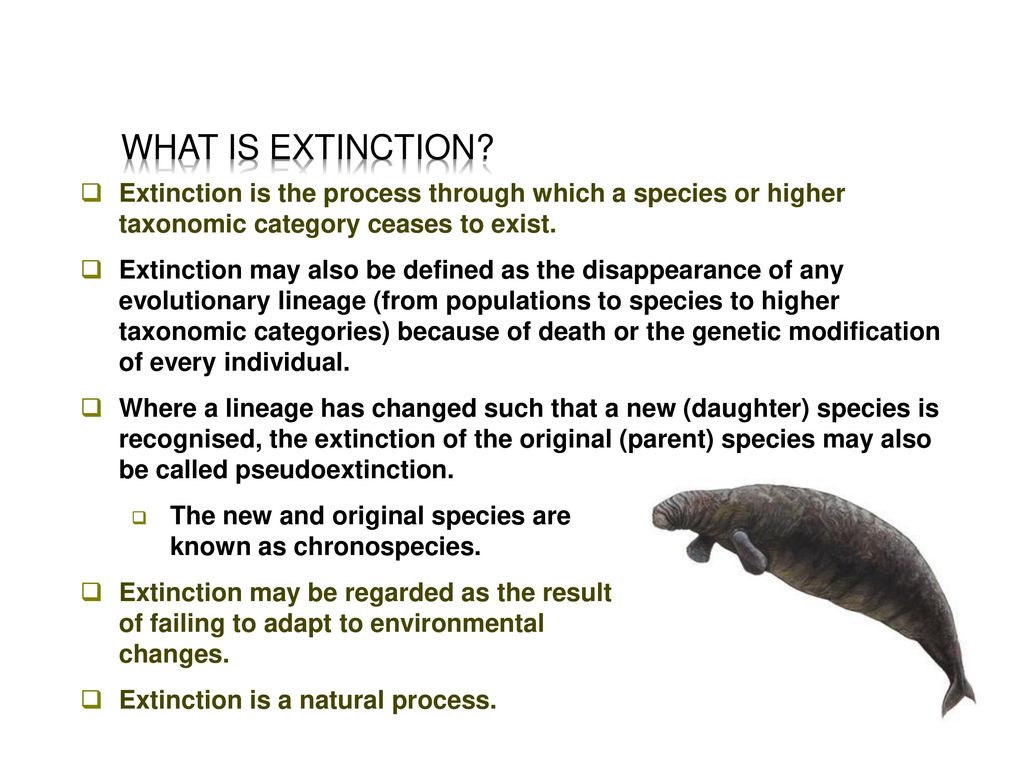 Extinction: past, present, future - ppt download