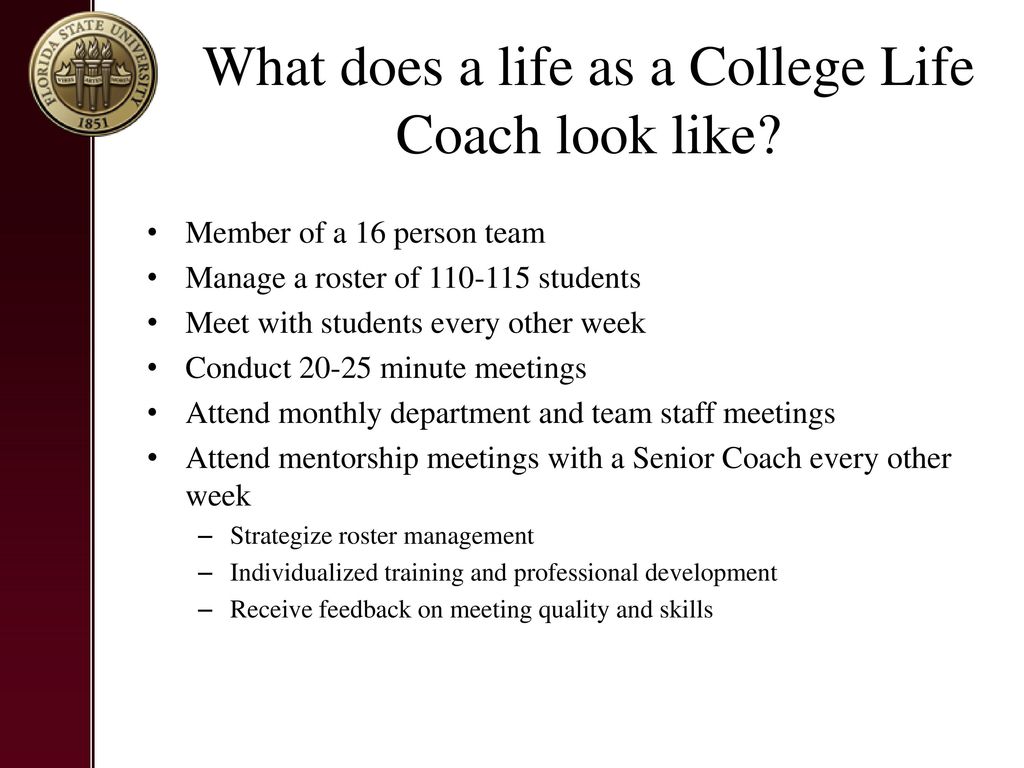college life coaching program