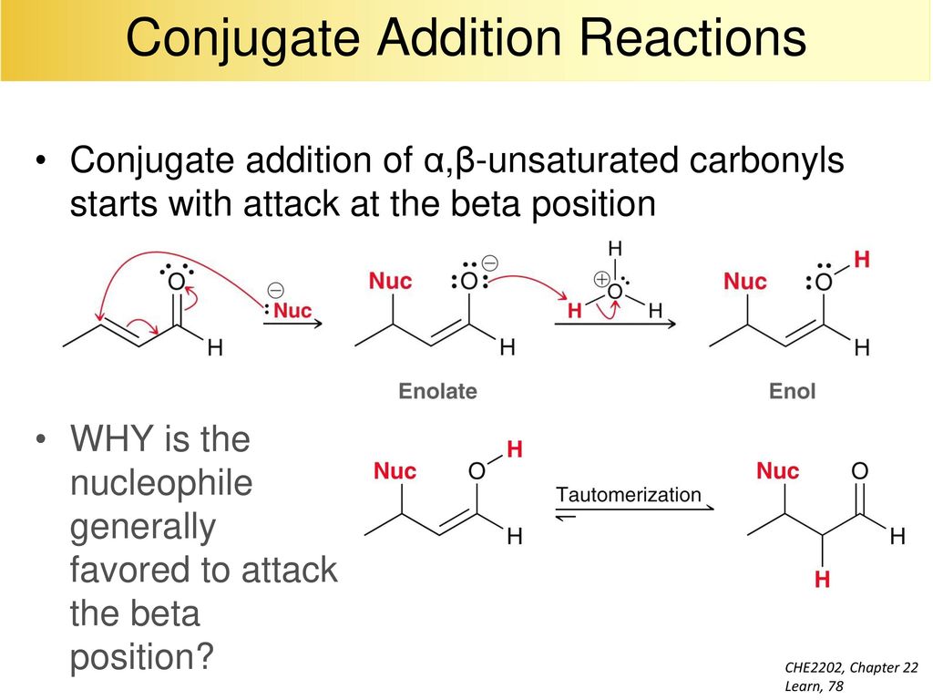 Conjugate Addition Reactions.
