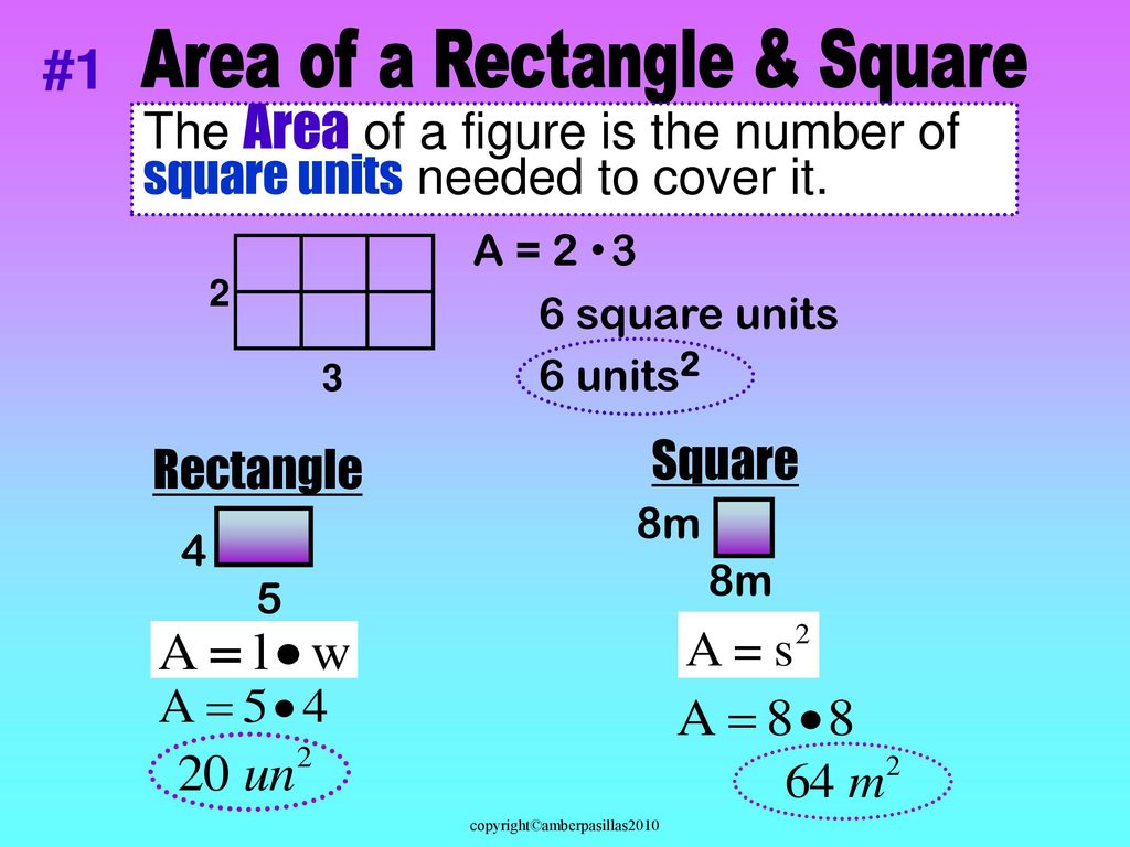 Area of a Rectangle & Square