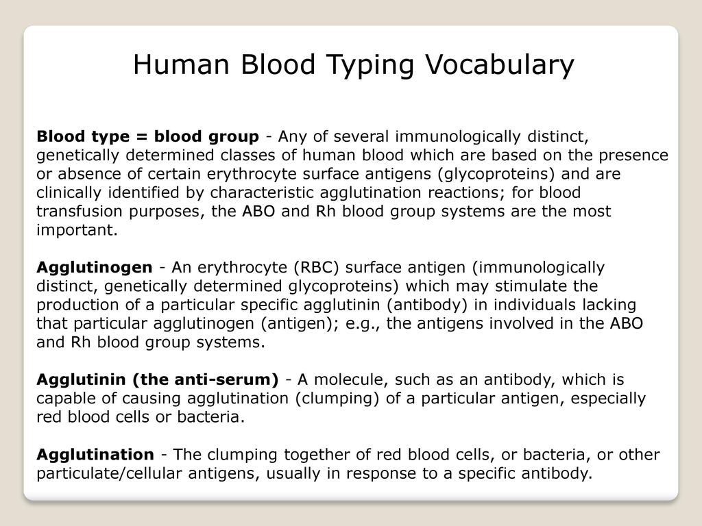 Human Blood Typing Vocabulary